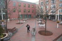 8' Diameter Steel Tree Grates (12) for Albert Hinds Plaza, Princeton NJ